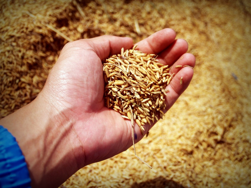 Новые зерносушильные комплексы в Татарстане будут готовы к уборке урожая