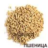 пшеница В Наличии в Казани