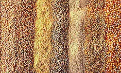 фотография продукта Комбикорма,отруби,пшеница,ячмень,овес.